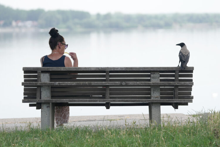 Picture This: Come Here Often?